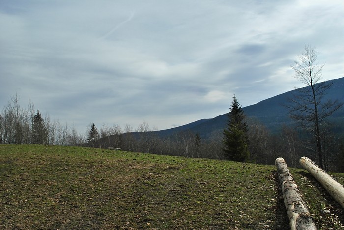 polana